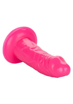 Back End Chubby Suction Cup Base Anal Plug Waterproof - True Pleasures