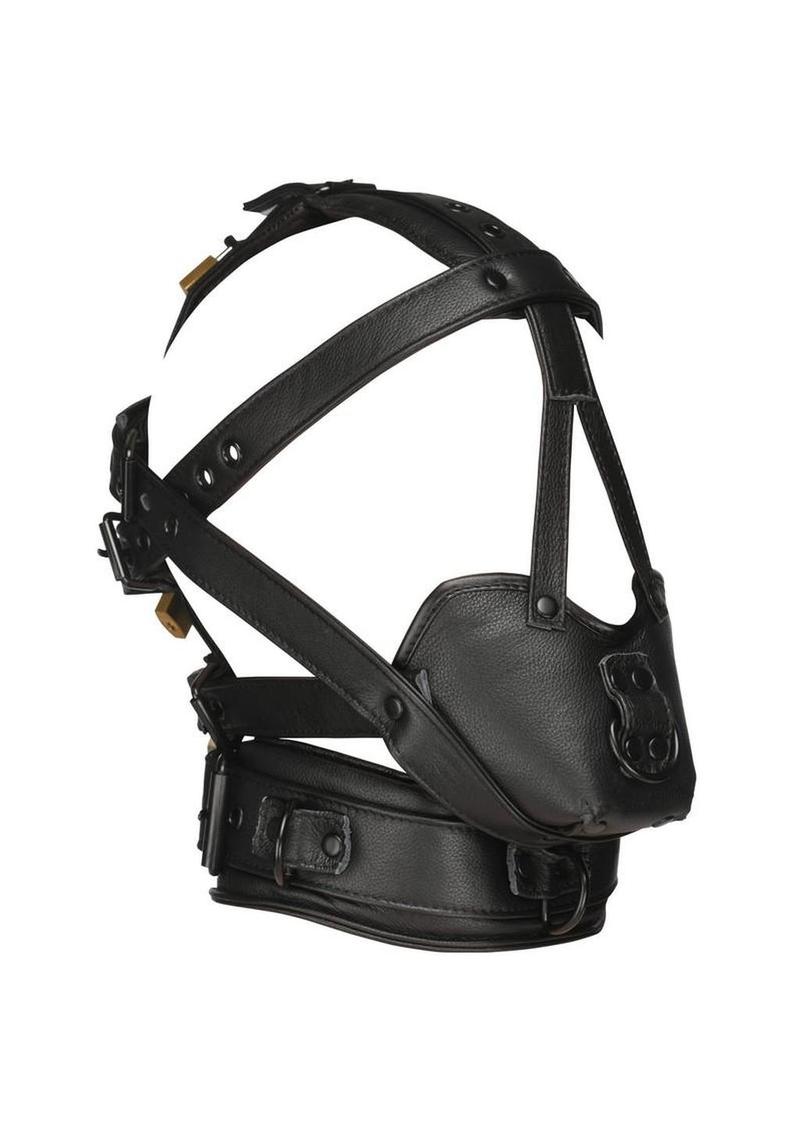 Master Series Leather Head Harness with Muzzle