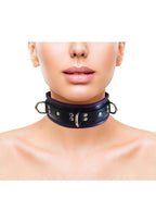 Rouge 3 D-Ring Padded Leather Adjustable Collar