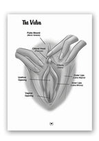 The Mystery Of The Undercover Clitoris Book By Dr. Sadie Allison